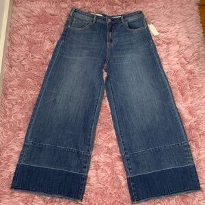 New Anthropologie Pilcro Tiered Wide Leg Unraveled Hem Blue Denim Jeans 29